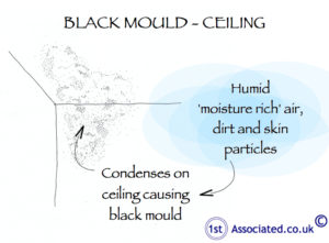 Black mould_ceiling