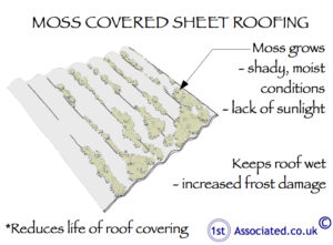 Moss covered sheet roofing