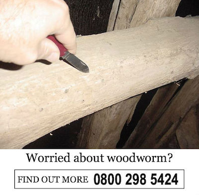 worried about woodworm