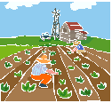 my-dream-farm